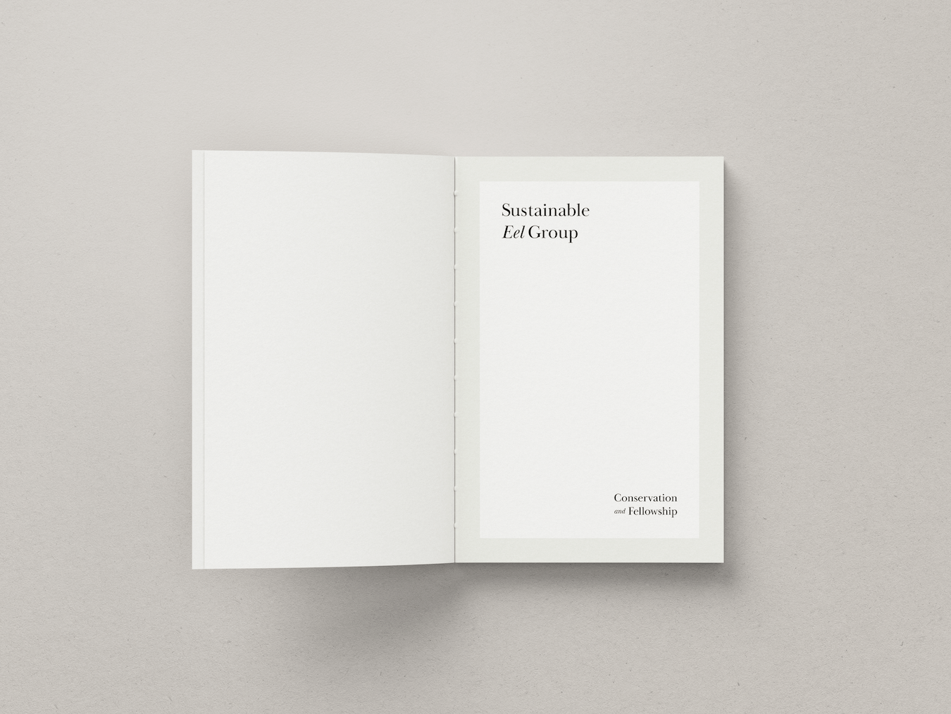 Book 4 - Project Gallery Image