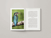 Book 6 - Project Gallery Image