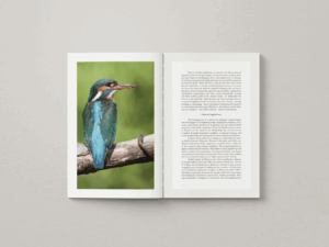 Book 6 - Project Gallery Image