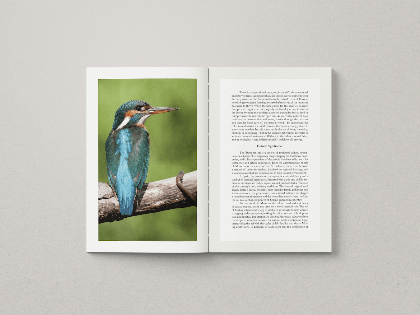 Book 6 - Project Gallery Image