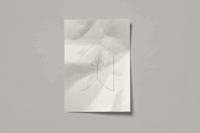 Branding - Project Gallery Image