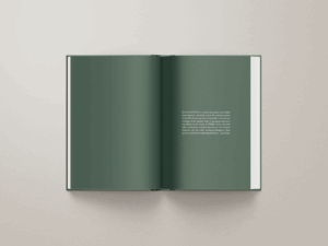 Caption 1 - Project Gallery Image