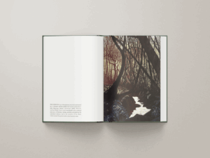 Caption 2 - Project Gallery Image