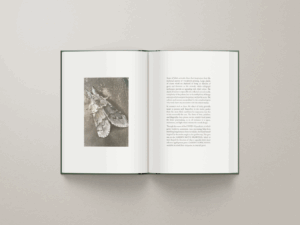 Caption 3 - Project Gallery Image