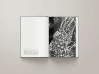 Caption 8 - Project Gallery Image