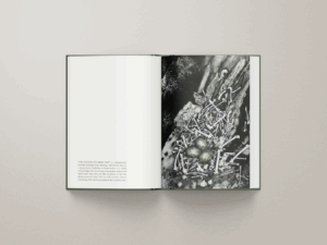 Caption 8 - Project Gallery Image