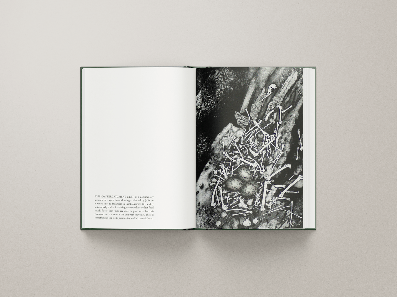 Caption 8 - Project Gallery Image