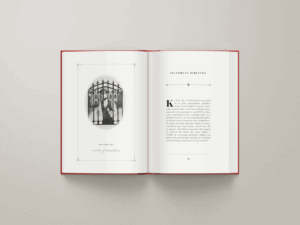 Book - Project Gallery Image
