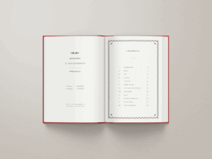 Book - Project Gallery Image
