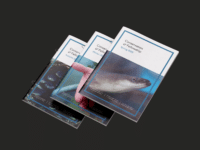 Sustainable Eel Group preview image