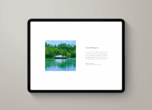 Website - Project Gallery Image