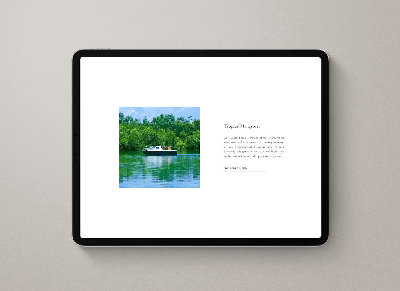 Website - Project Gallery Image
