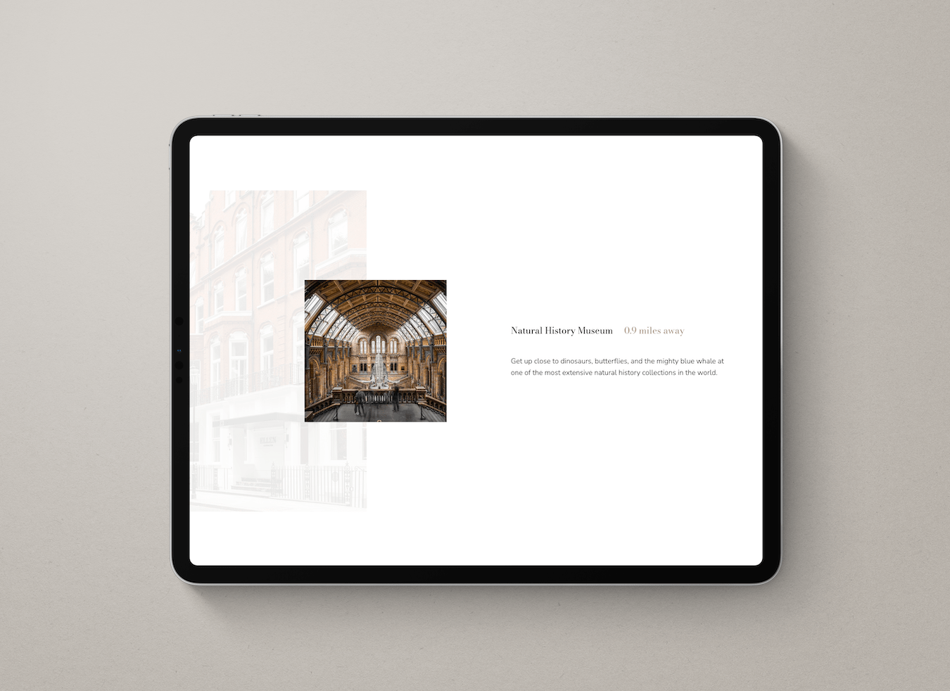 Website - Project Gallery Image